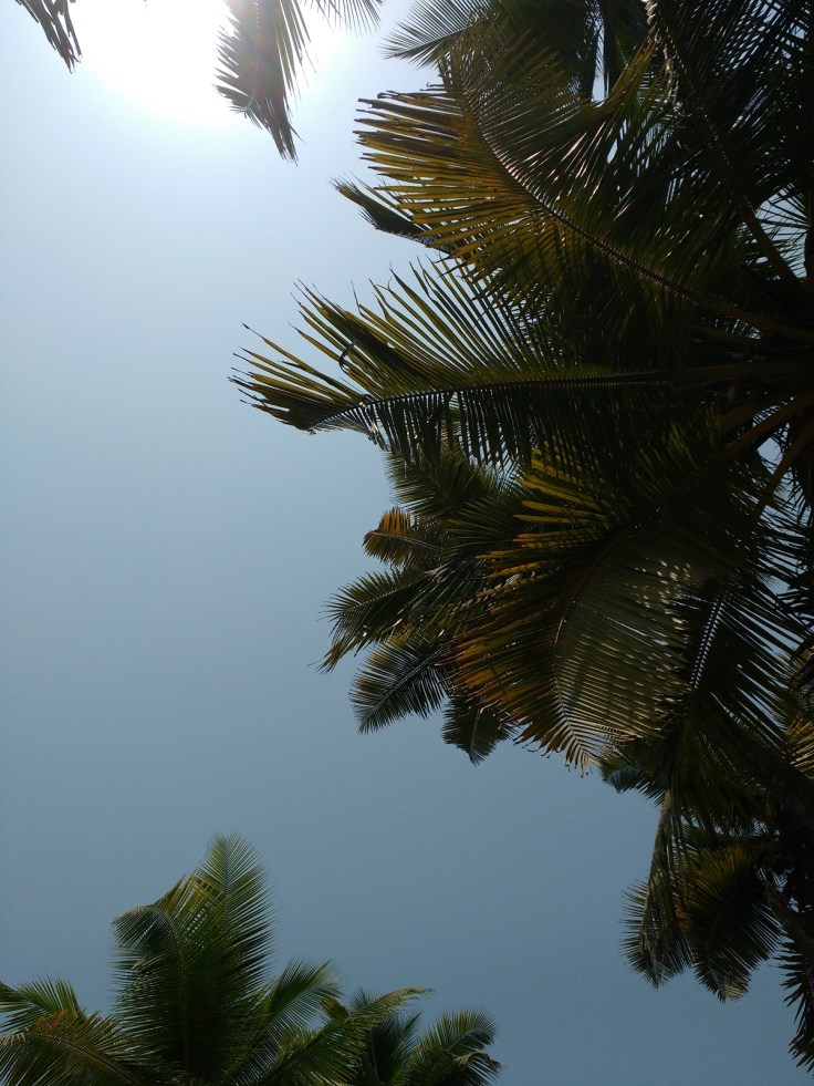 IMG_20170326_110932439