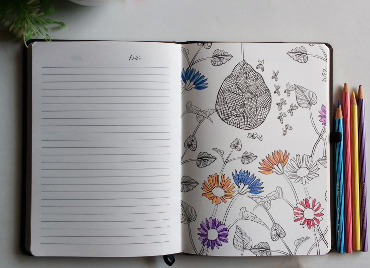 1.IMG_20170625_131630164